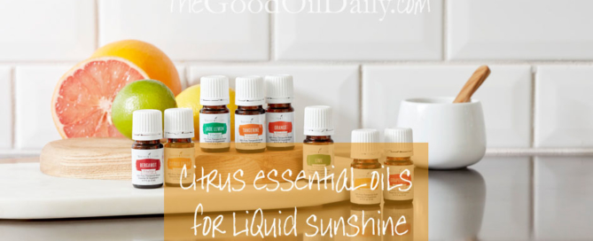 citrus essential oils, the good oil daily