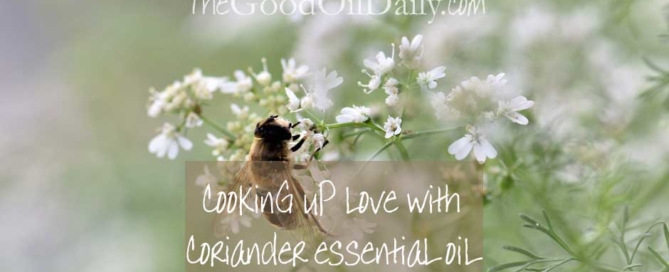 coriander essential oil, young living, the good oil daily