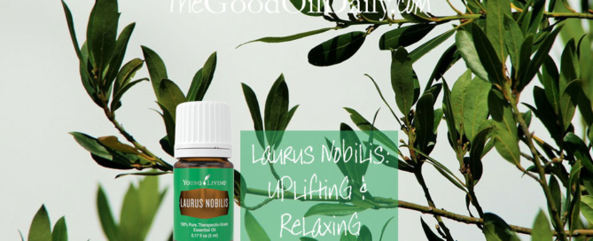 laurus nobilis essential oil, young living, the good oil daily