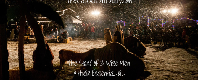 three wise men, 3 wise men, young living, the good oil daily