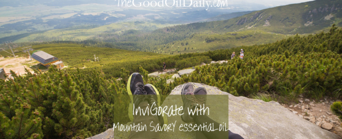 mountain savory essential oil, energising, the good oil daily