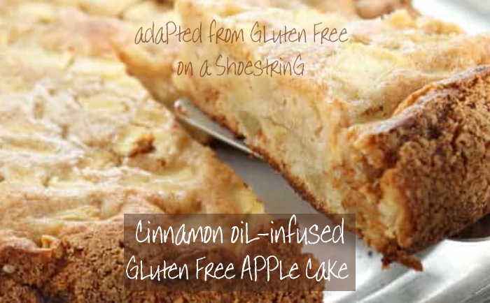 cinnamon infused gluten free apple cake, the good oil daily